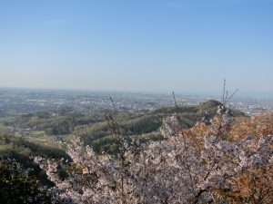 佐野市
