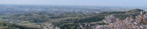 佐野市