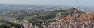 佐野市